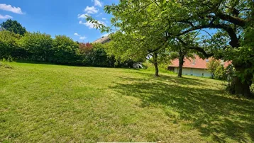 Weitläufige Rasenfläche mit Bäumen und Blick auf ein Gebäude im Hintergrund unter blauem Himmel.