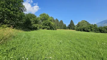 Sonnige, weitläufige Grünfläche mit Bäumen am Horizont und einem klaren blauen Himmel über der Berglandschaft.