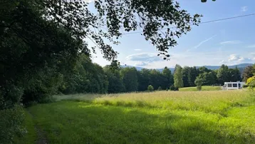 Weitläufige grüne Wiese umgeben von Bäumen unter blauem Himmel mit einem modernen Gebäude in der Ferne.