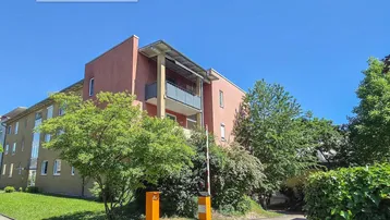 Außenansicht des Wohnhauses mit Zufahrt, Bäumen und Begrünung unter blauem Himmel.