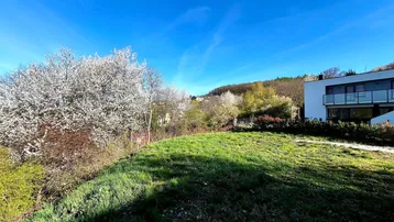 Grünes Grundstück mit blühenden Bäumen und Blick auf ein modernes Gebäude unter blauem Himmel.