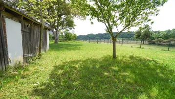 Großer grüner Gartenbereich mit alten Bäumen und einem rustikalen Holzschuppen im Hintergrund.