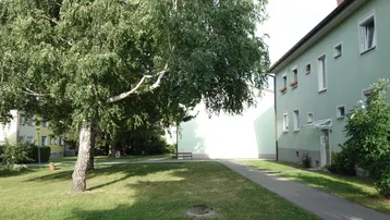 Gepflegter Gemeinschaftsgarten mit großen Bäumen und Rasenfläche neben dem Gebäude.