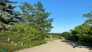 Landstraße umgeben von üppigem Grün und Bäumen unter klarem blauem Himmel.