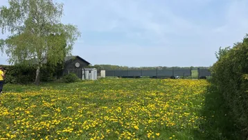 Große Wiese mit gelben Löwenzahnblüten, umgeben von Bäumen und Hecken, mit einem Gartenhaus im Hintergrund.