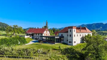 Luftaufnahme eines Anwesens mit mehreren Gebäuden, umgeben von grünen Feldern und Bergen unter blauem Himmel.