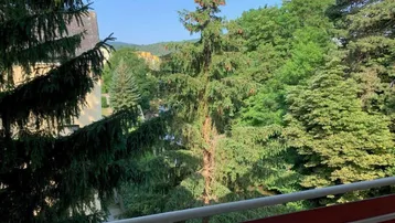 Grüner Ausblick von einem Balkon mit vielen Bäumen und einer weiten Landschaft im Hintergrund.