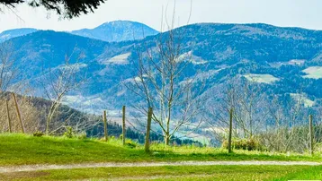 Weitläufiger Blick über grüne Hügel und bewaldete Berge unter blauem Himmel.