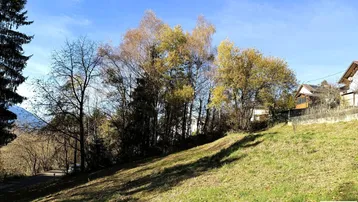 Sonniges Grundstück mit leichter Hanglage und herbstlicher Vegetation unter blauem Himmel.