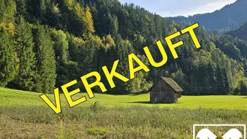 Expose Grundstücke mit Zukunft – vielseitig nutzbare Wald- und Wiesenflächen in idyllischer Lage von Bad Eisenkappel