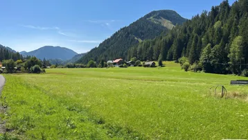 Weitläufige grüne Wiesen und bewaldete Berge unter blauem Himmel, mit vereinzelten Häusern in der Ferne.