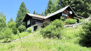 Traditionelles Holzhaus in alpiner Umgebung, umgeben von grünen Wiesen und hohen Bäumen.