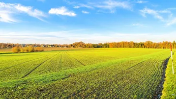Weitläufiges Feld mit grüner Vegetation unter blauem Himmel und Blick auf die Landschaft.