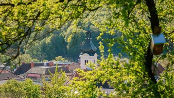 Blick auf eine Kirche und Dächer einer Stadt, umrahmt von frischem Grün der Bäume.