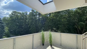 Geräumiger Balkon mit perforiertem Geländer und weitem Blick auf die umliegenden Bäume.