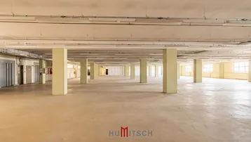 Großer, offener Gewerberaum mit vielen Säulen, Betonboden und natürlichem Lichteinfall durch Fenster.