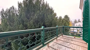 Balkon mit grüner Metallbrüstung und weitem Blick auf dichte, hohe Bäume und die umliegende Natur.