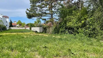 Unbebautes, grünes Grundstück mit umliegender Vegetation und Gebäuden im Hintergrund unter blauem Himmel.