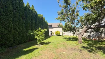 Großer Gartenbereich mit Rasenfläche, hohen Hecken und Bäumen hinter dem Haus.