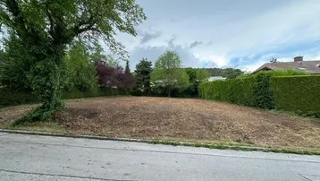Geräumiges, gerodetes Grundstück mit umliegender Hecke und Baumbestand, bereit für Neubau.