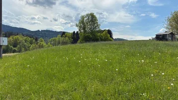 Weitläufige grüne Wiese mit Hügellandschaft und bewölktem Himmel, ideal für Naturliebhaber.