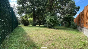 Gepflegter Gartenbereich mit Rasenfläche und altem Baumbestand, umgeben von Zäunen.