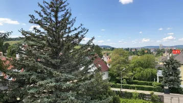 Weitblick über eine grüne Landschaft mit Bäumen und einer Stadt in der Ferne unter blauem Himmel.