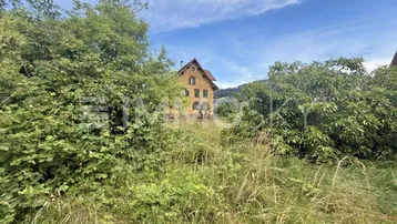 Ein älteres Haus, umgeben von üppiger Vegetation und hohem Gras unter blauem Himmel.