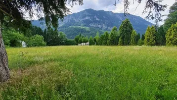 Weitläufige grüne Wiese mit majestätischem Bergblick unter bewölktem Himmel.