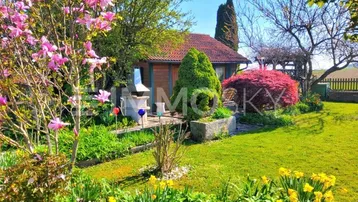 Blühender Garten mit Magnolienbaum, Narzissen und einem kleinen Gartenhaus mit Grillplatz.
