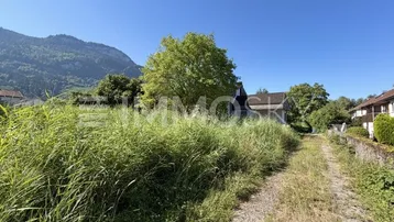 Blick auf ein überwachsenes Grundstück mit einem Haus im Hintergrund und majestätischen Bergen am Horizont.