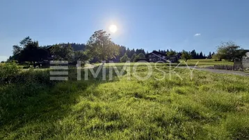 Weitläufige grüne Wiese mit Bäumen und Häusern im Hintergrund unter strahlendem Sonnenschein.