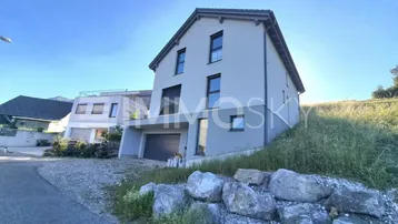Modernes Einfamilienhaus mit Satteldach und integrierter Garage an einem Hang.
