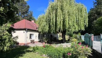 Charmantes Haus mit großem Garten, blühenden Rosen und einem markanten Weidenbaum.