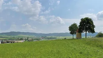 Weitläufige grüne Landschaft mit einem kleinen Schrein und Bäumen unter blauem Himmel.