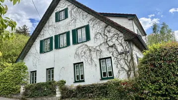 Traditionelles Haus mit weißer Fassade, grünen Fensterläden und Kletterpflanzen an der Wand.