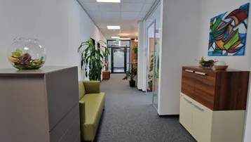 Langer, heller Büroflur mit Teppichboden, Pflanzen und modernen Kunstwerken, der zu weiteren Büroräumen führt.