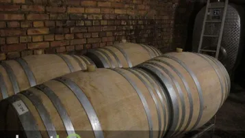 Historischer Weinkeller mit traditionellen Holzfässern und modernen Edelstahltanks, umgeben von rustikalen Ziegelwänden.