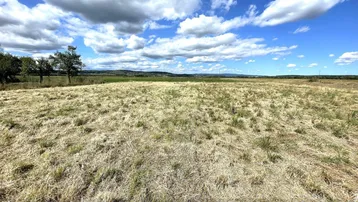 Weitläufiges Feld mit trockenem Gras unter blauem Himmel und Wolken, ideal für ländliche Entwicklung.