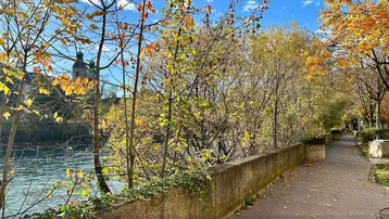 Malerischer Spazierweg entlang eines Flusses mit herbstlichen Bäumen und historischer Architektur im Hintergrund.