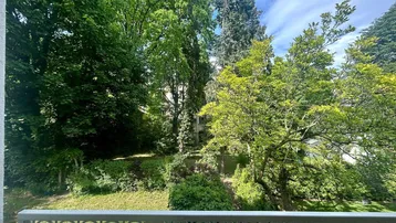 Malerischer Ausblick ins Grüne mit dichtem Baumbestand und viel Natur.