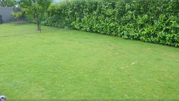 Gepflegter Rasenbereich im Garten mit einer hohen Hecke, die Privatsphäre bietet.