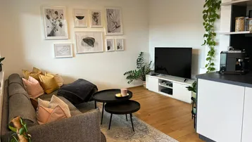 Gemütliches Wohnzimmer mit Sofa, Fernseher und dekorativen Pflanzen, hell und modern eingerichtet.
