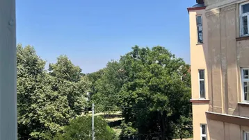 Blick aus dem Fenster auf grüne Bäume und die umliegende Bebauung an einem sonnigen Tag.