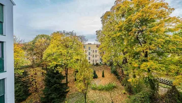 Blick auf einen grünen Innenhof mit herbstlichen Bäumen und Laub auf dem Boden.