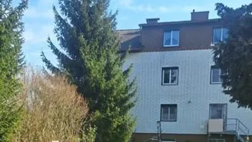 Gebäudefassade mit großem Rasenbereich und hohen Nadelbäumen im Vordergrund unter blauem Himmel.