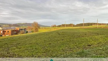 Weitläufige grüne Landschaft mit sanften Hügeln und vereinzelten Gebäuden am Horizont unter bewölktem Himmel.