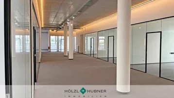 Helles und modernes Büro mit Teppichboden, Glaswänden und freiliegender Deckenkonstruktion.