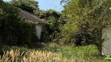 Verwilderter Gartenbereich mit hohem Gras und einem teilweise sichtbaren Gebäude unter blauem Himmel.