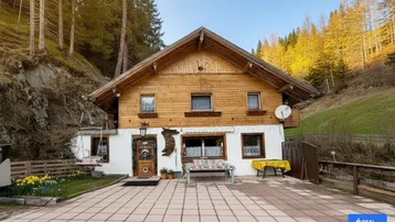 Traditionelles Holzhaus mit weißem Sockel und gepflastertem Vorplatz in alpiner Umgebung.